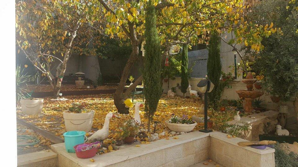 Hermon Accommodation Majdal Shams Bagian luar foto